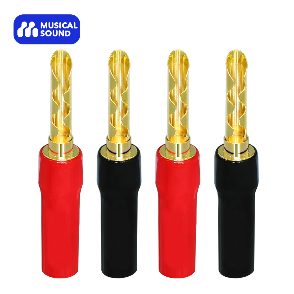 Musical Instrument Amplifier - Hoparlör için müzikal ses muz fiş