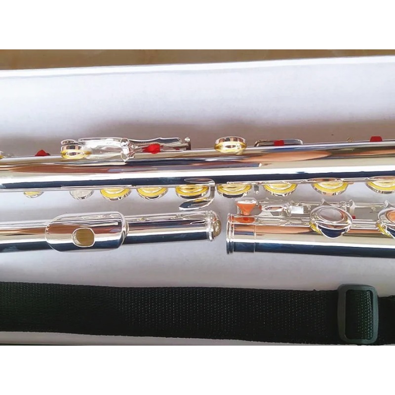 Profesyonel Flüt 211SL Model M - Musical Instrument Morocco incelemesi ve fiyatı